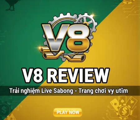 V8