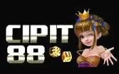CIPIT88